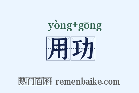 用功是什么意思的图片